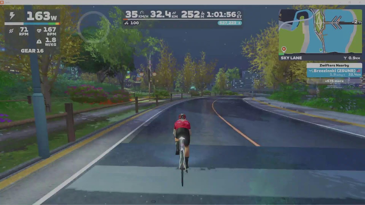 Neon Shore Loop Recon