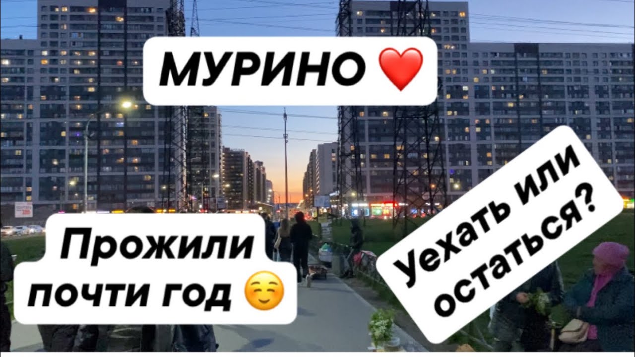 МУРИНО ❤️! Прожили почти год! Уехать или остаться?