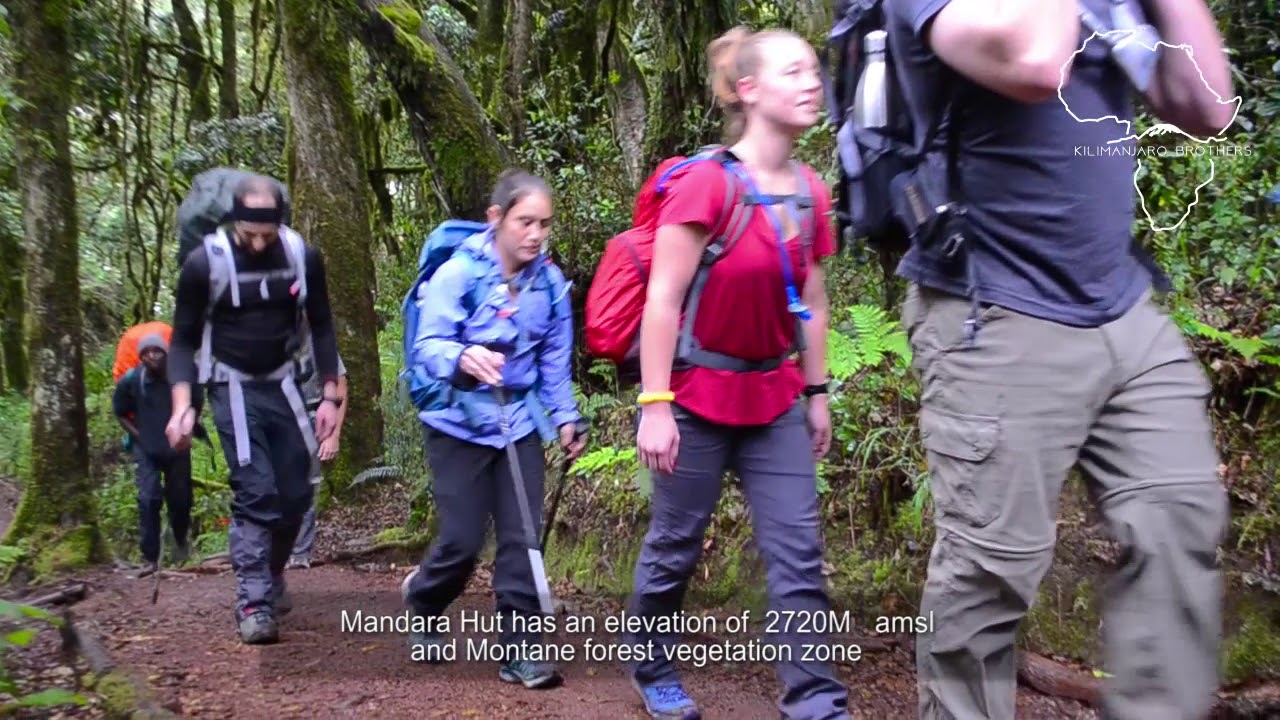 How to Climb Mount Kilimanjaro Marangu Route Step by Step with Kilimanjaro Brothers