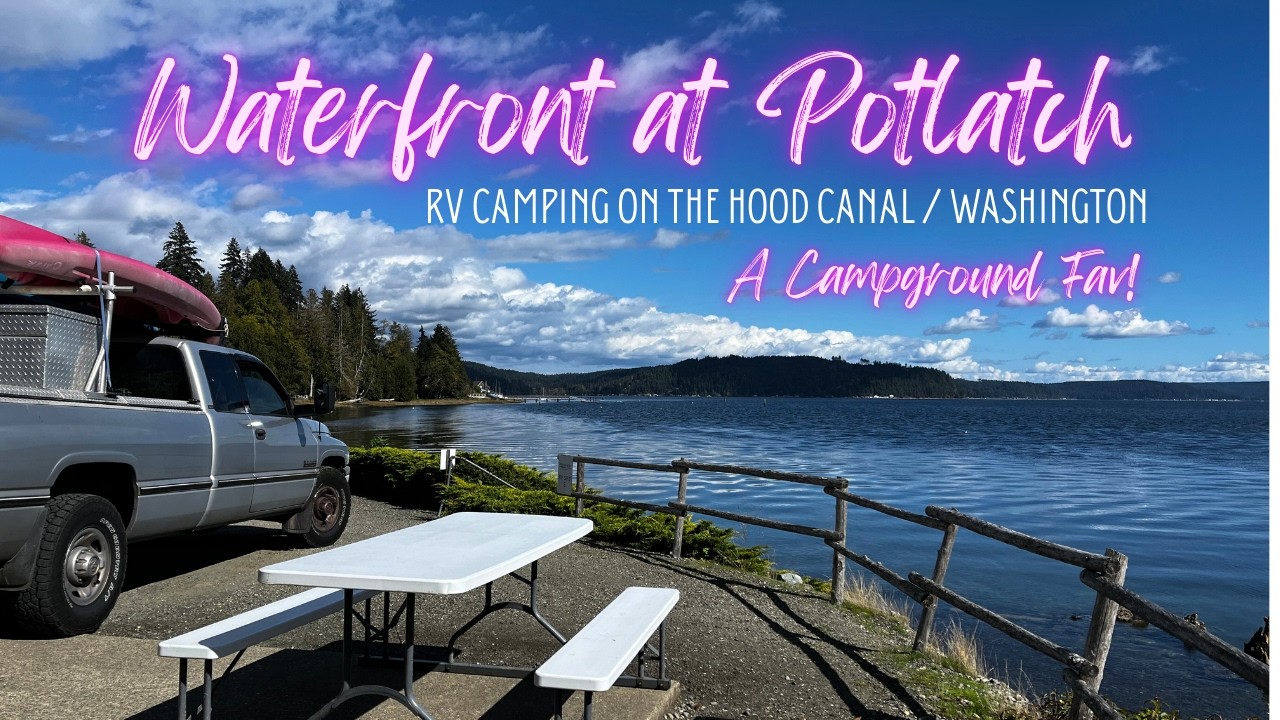 Waterfront at Potlatch RV Resort / Wildlife on The Hood Canal / Washington / A Campground Fav!