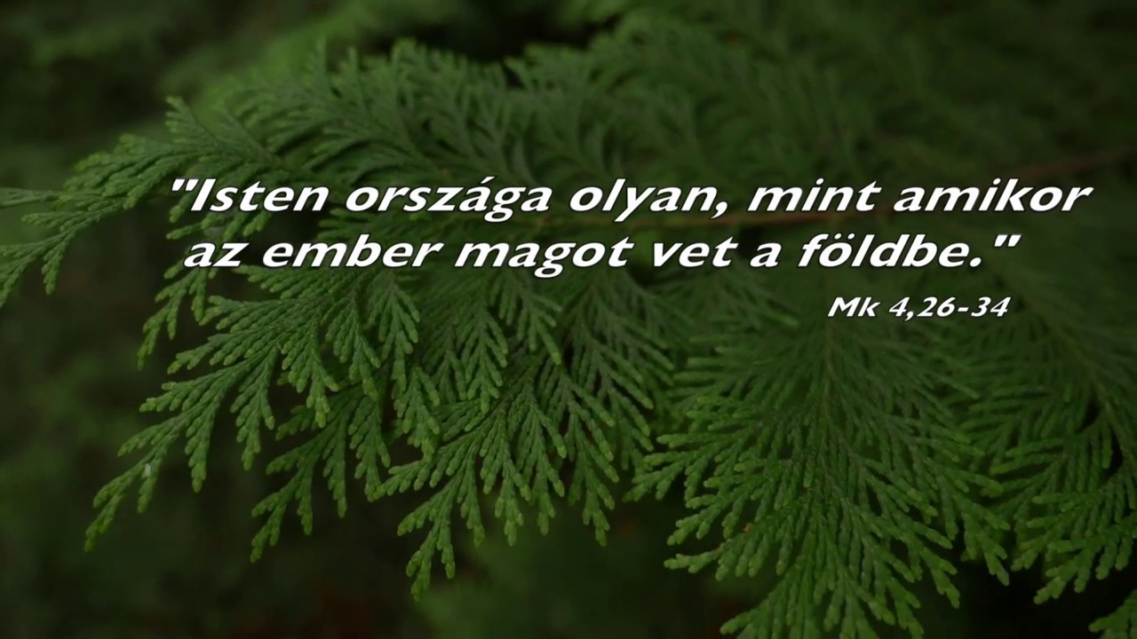 Barsi Bal&aacute;zs: A cs&ouml;nd szemin&aacute;riuma 1.