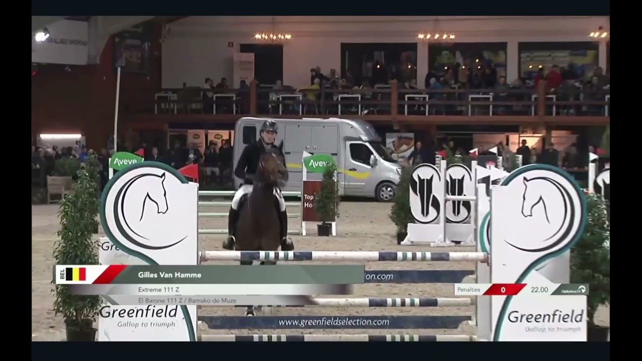 Extreme 111 Z: 5yo Stallion Competition Jan 2023