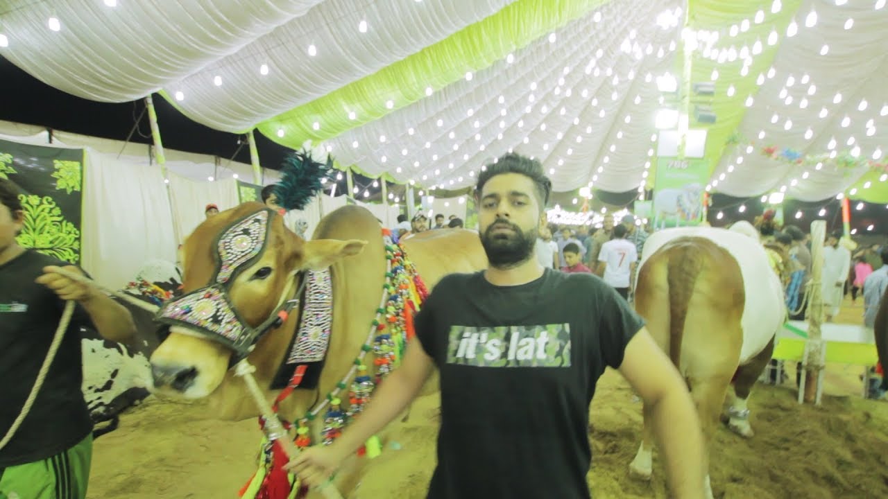 MANDI IS VERY LATTTT | The Great Mohammad Ali
