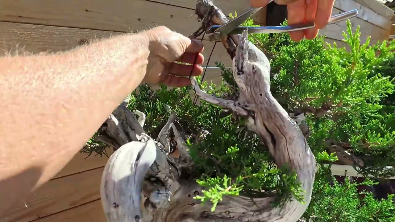 Action cam Ep  23