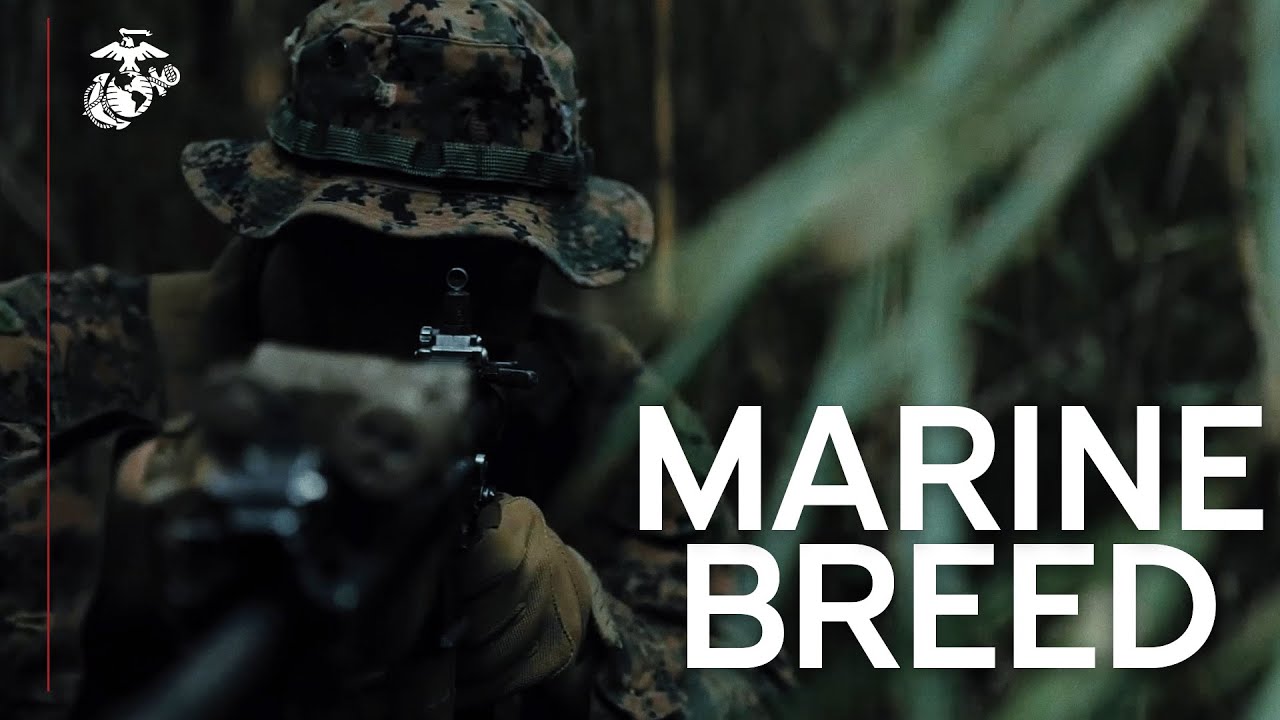 Marine Breed