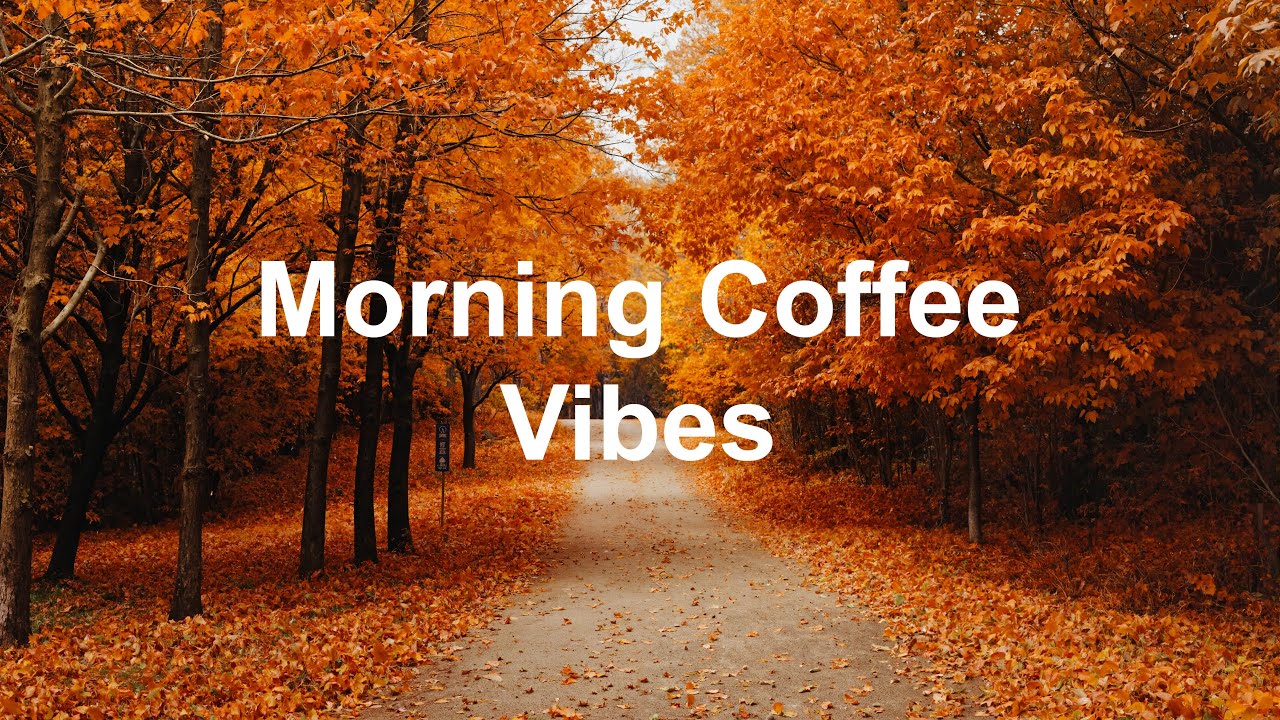 Morning Coffee Vibes 🎶 Chill House Playlist 🌅 Positive & Happy Chill Music To Have A Good Day