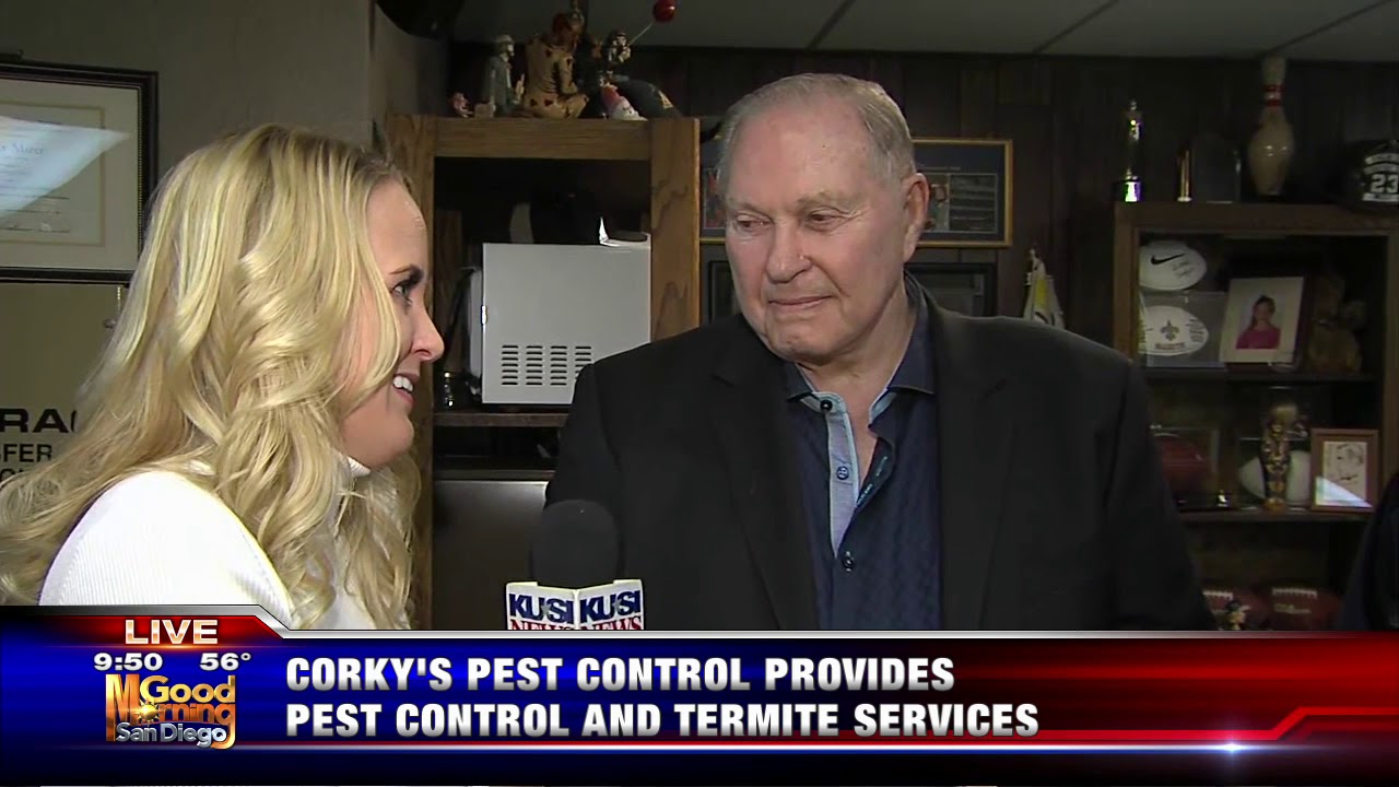 Corkys Pest Control KUSI Family Business Thursdays Segment 2