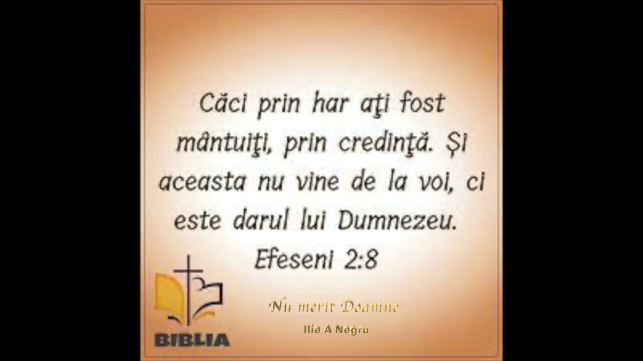 Nu merit Doamne - Ilie A Negru