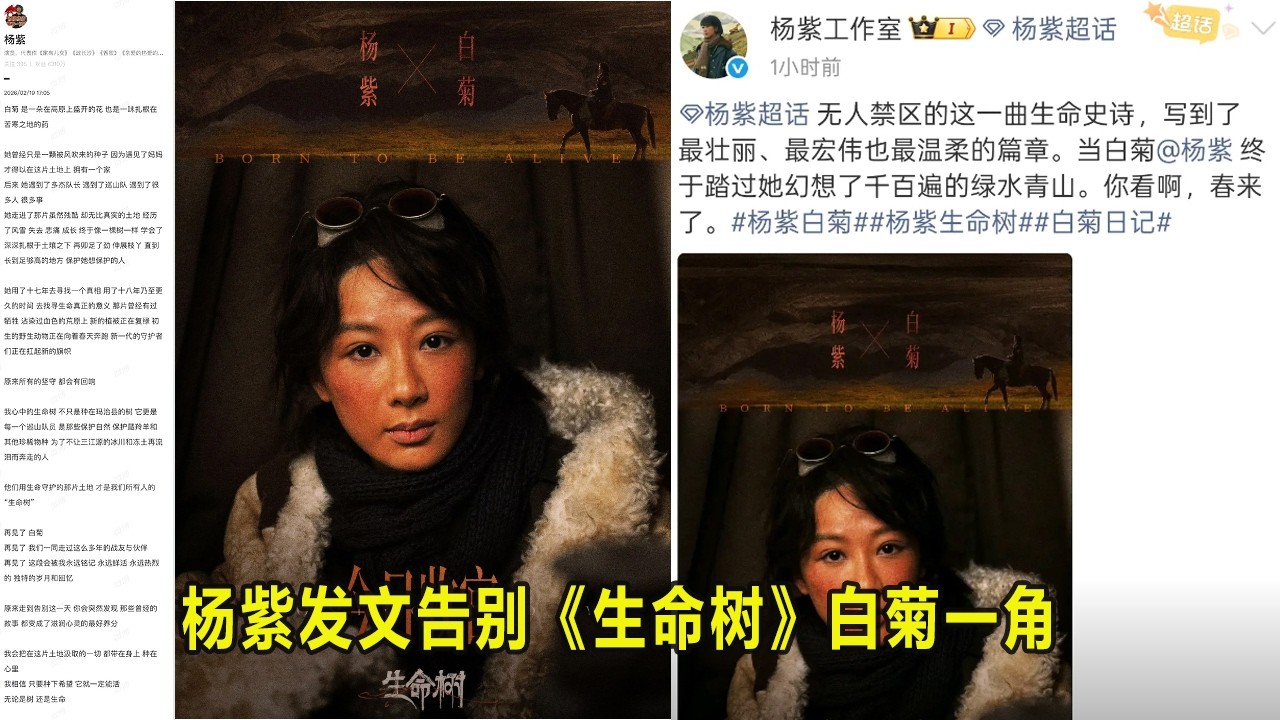 杨紫发文告别《生命树》白菊一角