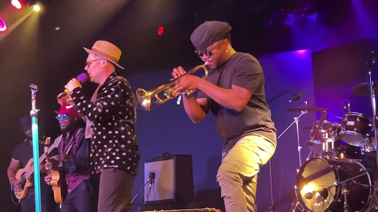 THE DUALERS - Special