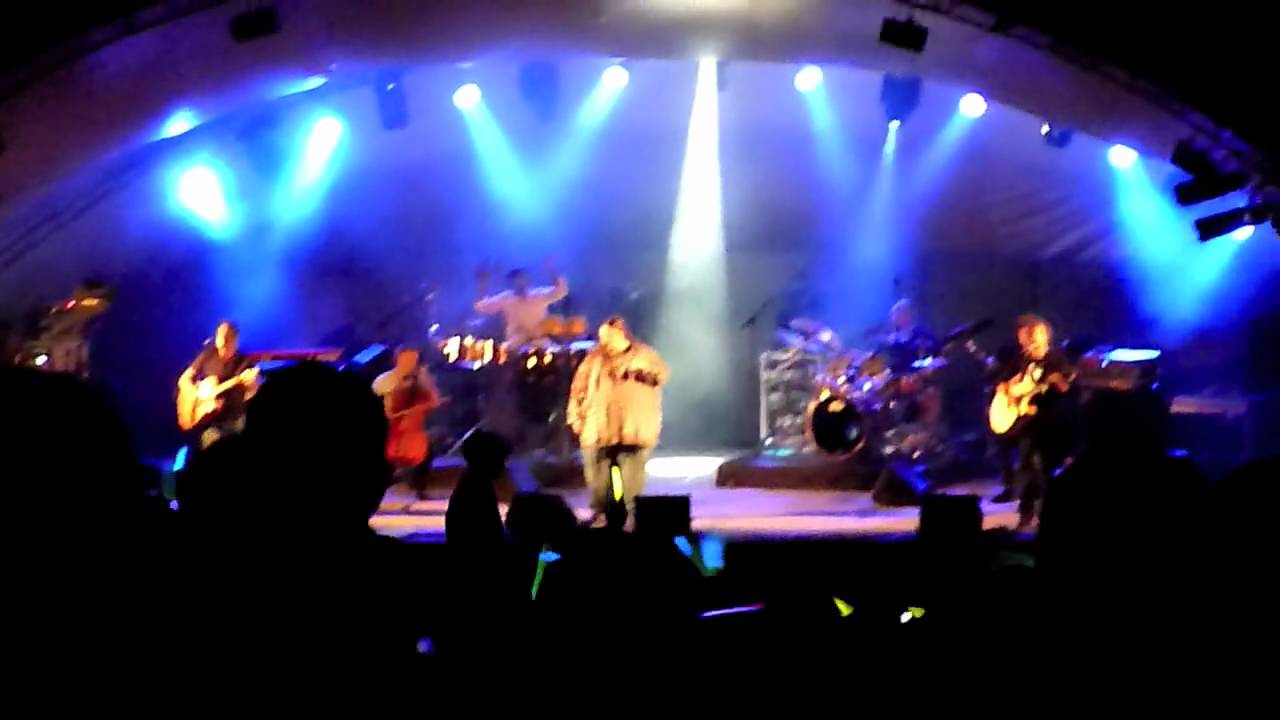 Mac Stanley Cover Chasing Cars at New Year Eve Concert Kirstenbosch Botanical Garden Cape Town