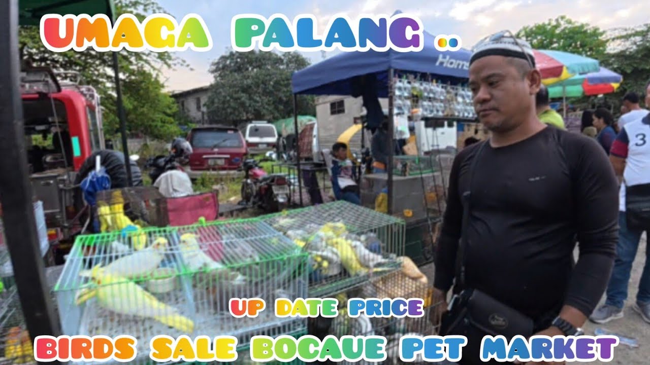 ep#144 up date price birds sale bocaue pet market. umaga palang...