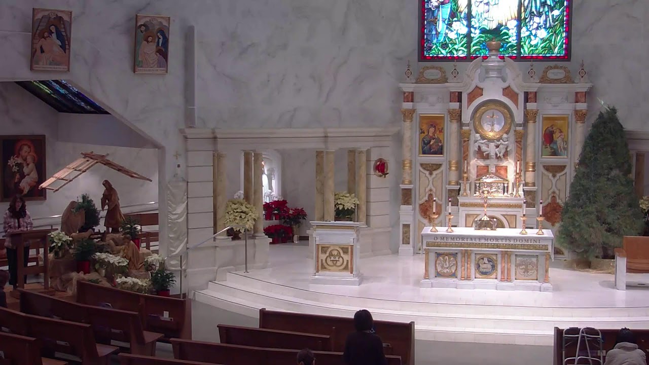 Saint Hilary, Bishop & Doctor of the Church, Tuesday,  January  13,  2026