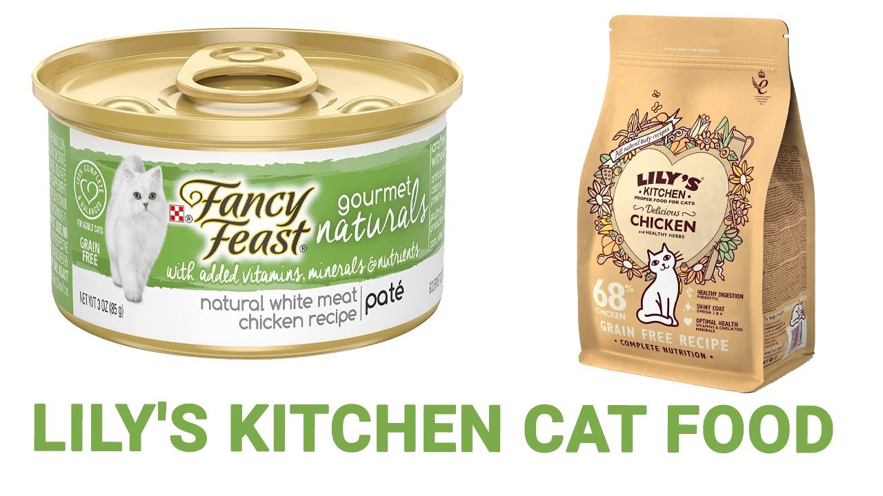 Top 5 Best Lily's Kitchen Cat Food