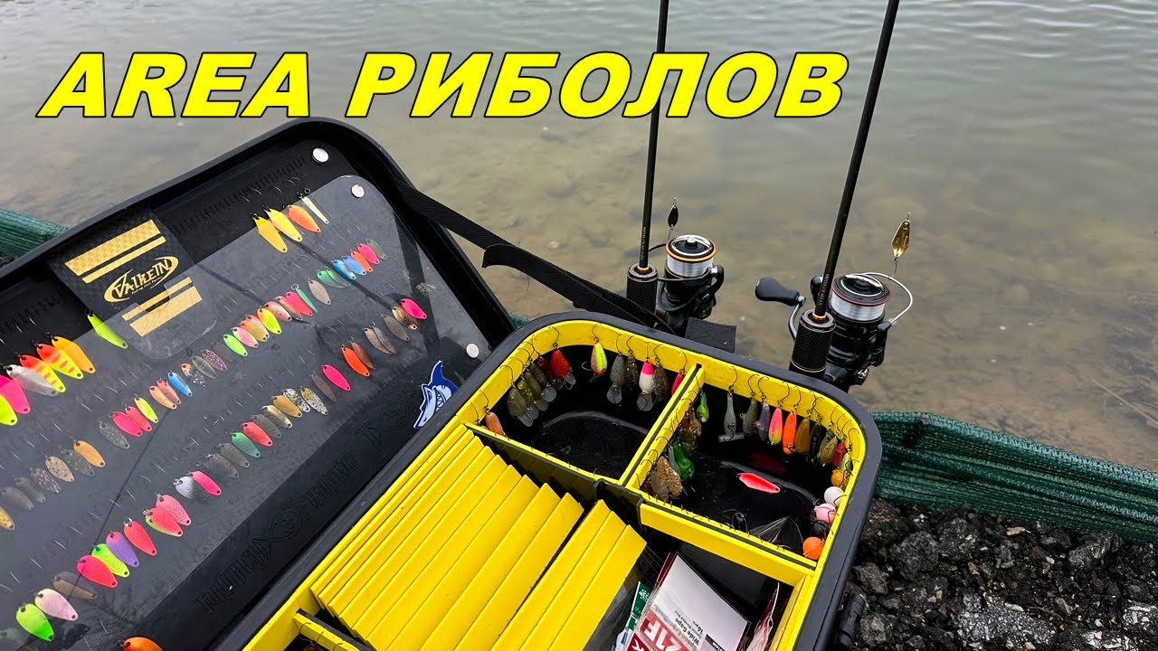 AREA РИБОЛОВ на ПЪСТЪРВИ - СЪВЕТИ и НАСОКИ за НАЧИНАЕЩИ РИБОЛОВЦИ