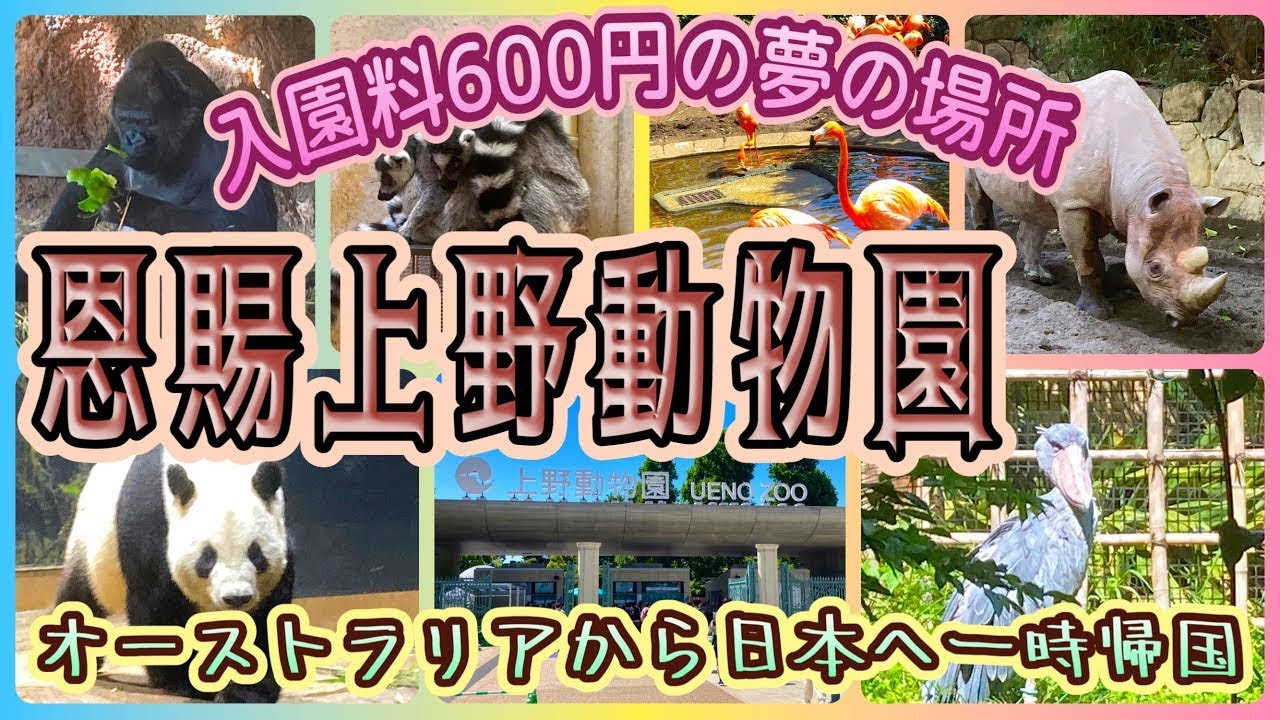 【東京一時帰国旅】入園料600円の夢の場所！　「恩賜上野動物園：UENO ZOOLOGICAL GARDENS」　OFF TO JAPAN CHANNEL
