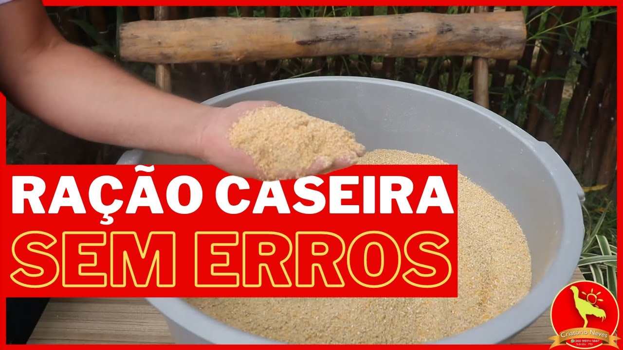 Faça a sua RAÇÃO CASEIRA da forma CORRETA AGORA e melhore na PRODUÇÃO de GALINHAS CAIPIRAS
