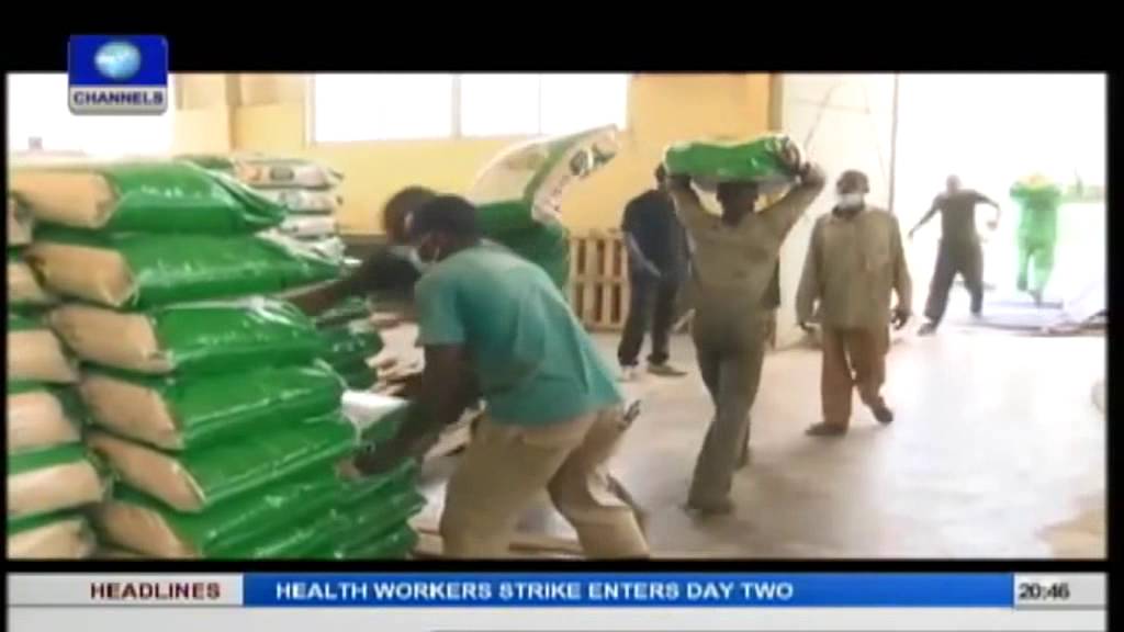 BOI Weekly: Rice production a tunnel of opportunities for Nigeria pt.2