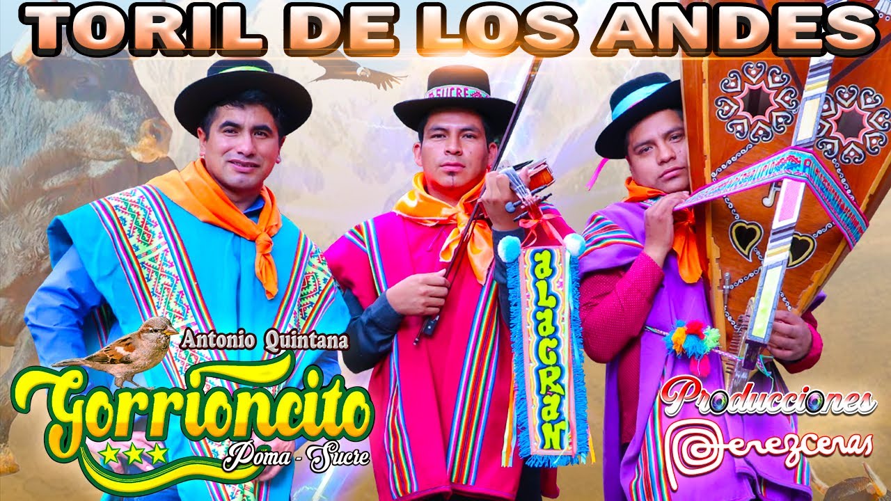 Toril 2023 con GORRIONCITO de POMA _ Mana Lasupa Chayanan _ Alcrán de Sucre & Alipio de Aucará🎶