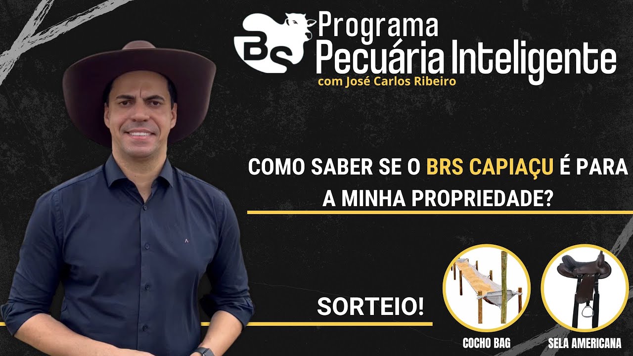 #237 PECUÁRIA INTELIGENTE - COMO SABER SE O BRS CAPIAÇU É PARA A MINHA PROPRIEDADE? I AO VIVO 24/02