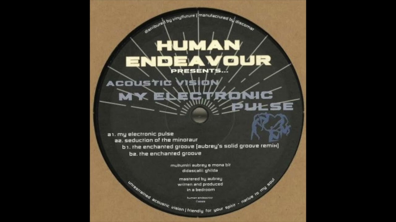 Acoustic Vision - My Electronic Pulse - Human Endeavour - HEND002 (2025)