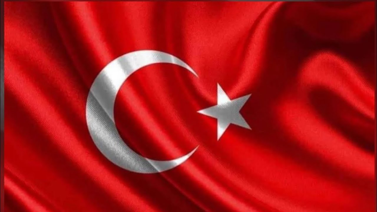 @29 ekim kortej yürüyüşü