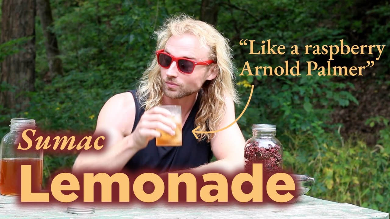 Foraging Sumac to Make a Raspberry Arnold Palmer of the Woods: From Tree to Table