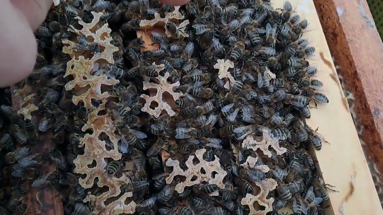 Сказали це помилка....