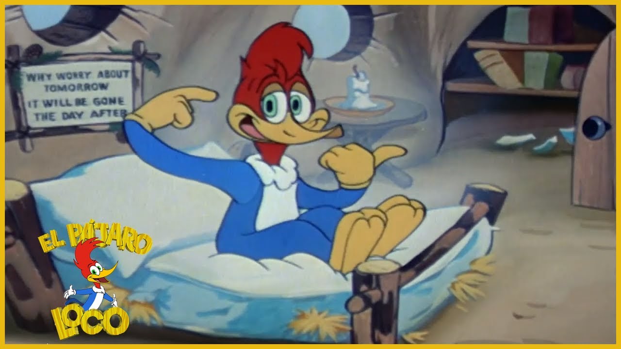 El Pájaro Loco Episodio Completo | Savia de secoya | Dibujos Animados | Caricaturas