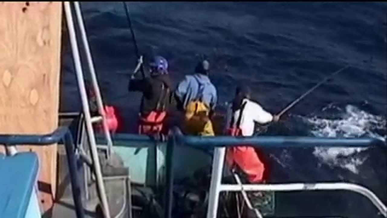 Marine Stewardship Council