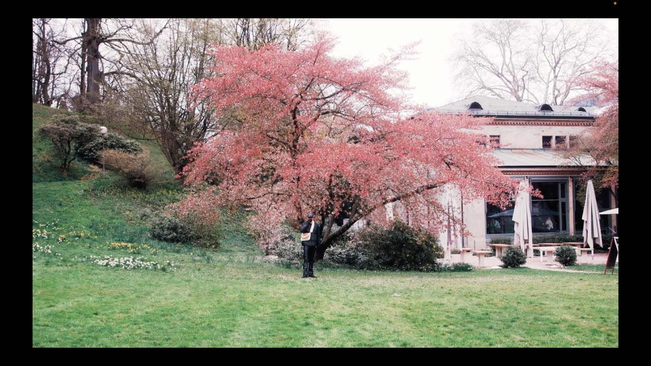 YUNG SAINT PAUL - VALLEY (Official Video)