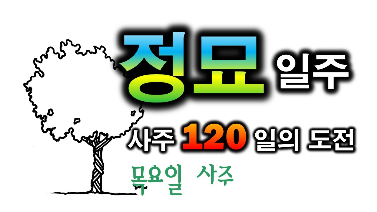 정묘일주 한방정리(79일차)