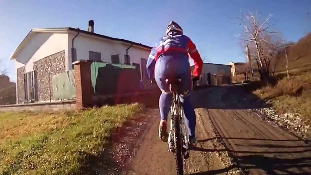 Bikers attaccato da cane feroce