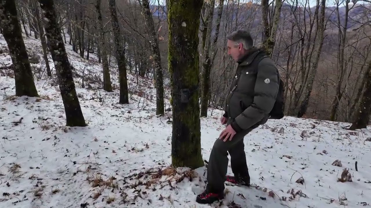 Abbiamo ripreso la puzzola nei boschi liguri!