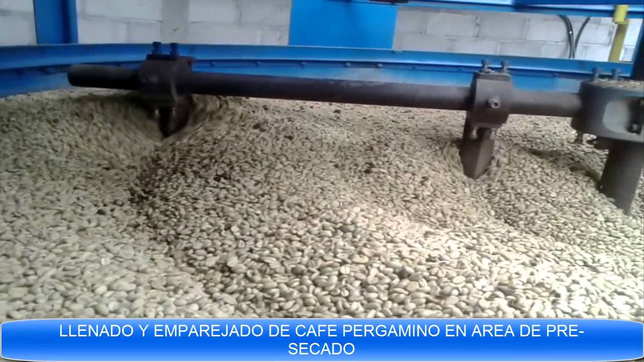 Secadora para cafe, capacidad de 40qq, Corquin, Copan, Honduras