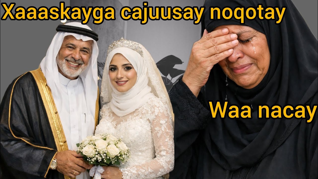 Qisada abu cabdala xaaaskayga cajuusay noqotay waa nacay