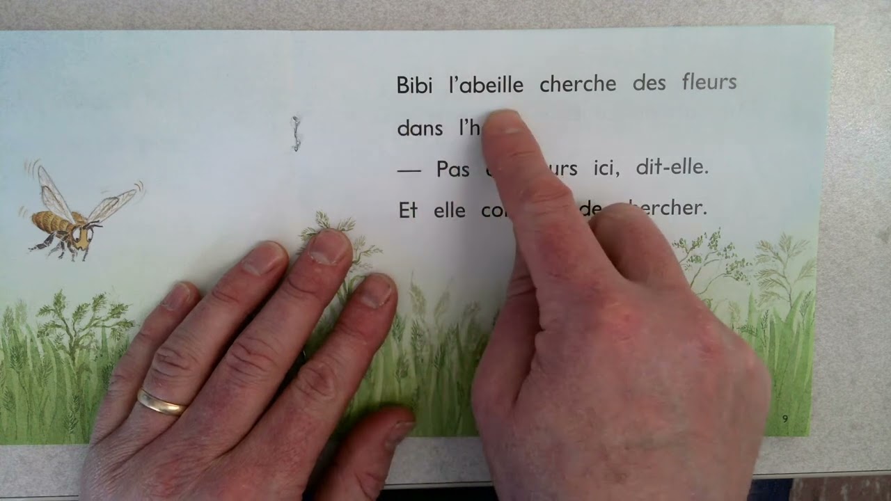 Bibi l'abeille