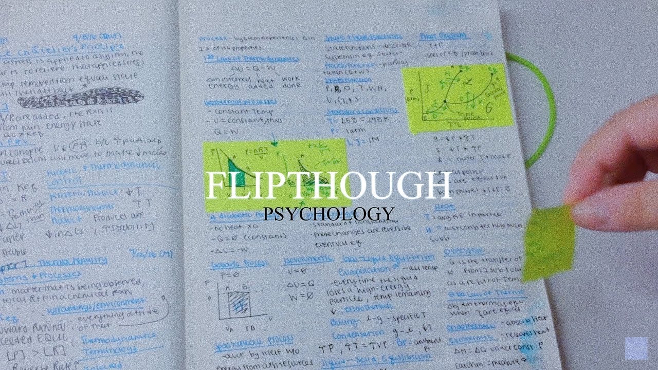 HOW I TAKE NOTES: PSYCHOLOGY FLIPTHROUGH;  내 노트들
