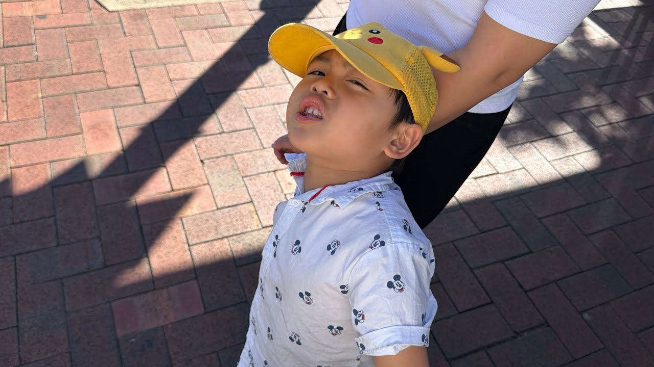 St Louis House of Fine Ice Cream and Desserts 