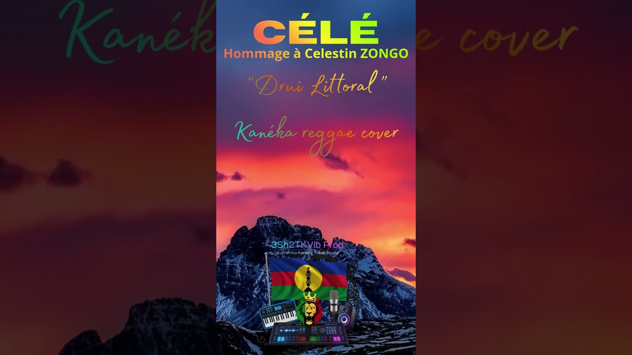 Célé : Celestin ZONGO tribute