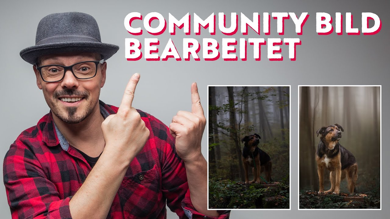 Hundefoto in LIGHTROOM & PHOTOSHOP bearbeitet - Community Bild