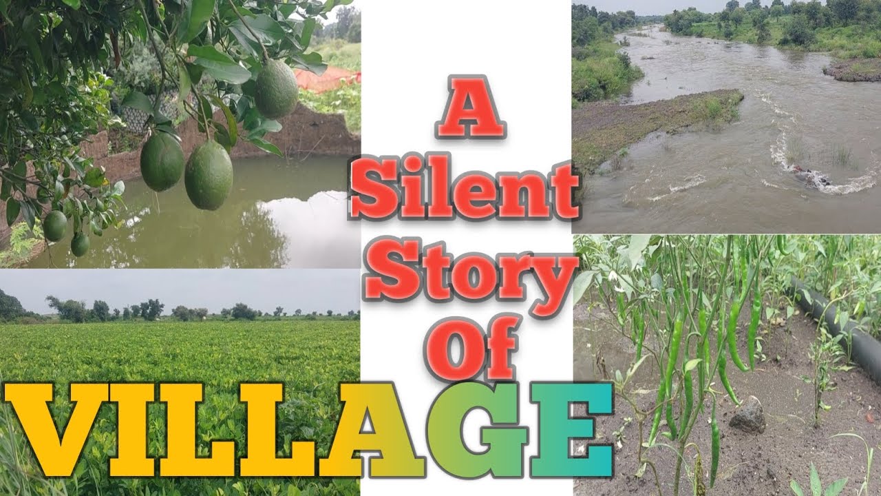 A Silent Story Of VILLAGE . Shyam DTHs.  Shyam Chauhan 