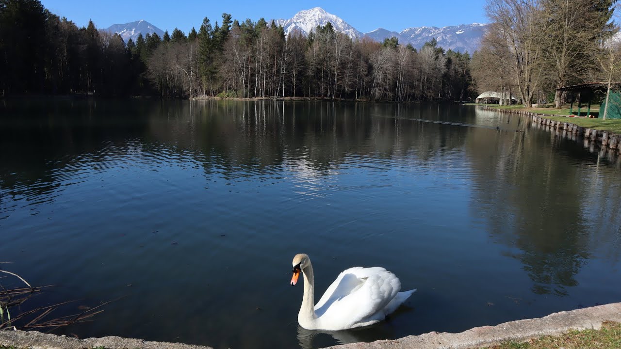 Slovenia - Brdo Estate