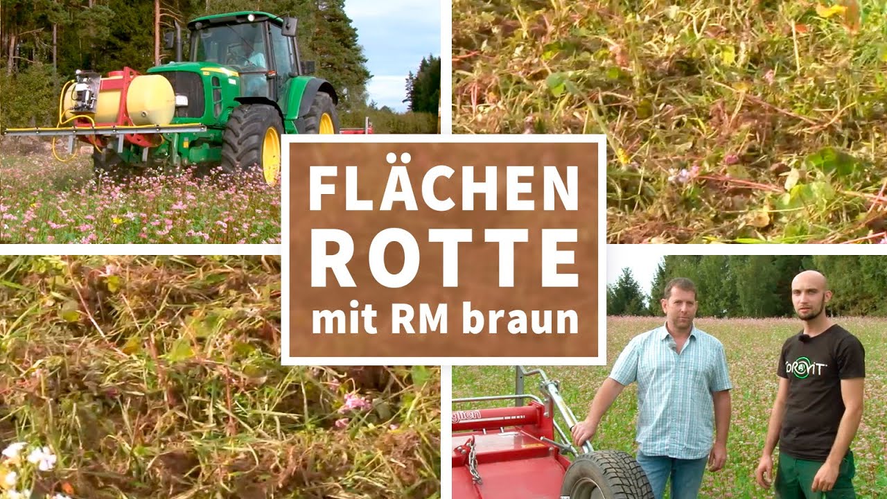 Flächenrotte mit RM braun – Fräse & Grubber im Vergleich