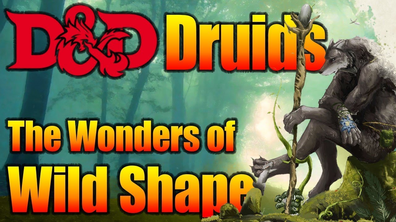 D&D 5E Druid: What You Can Do While you Wildshape