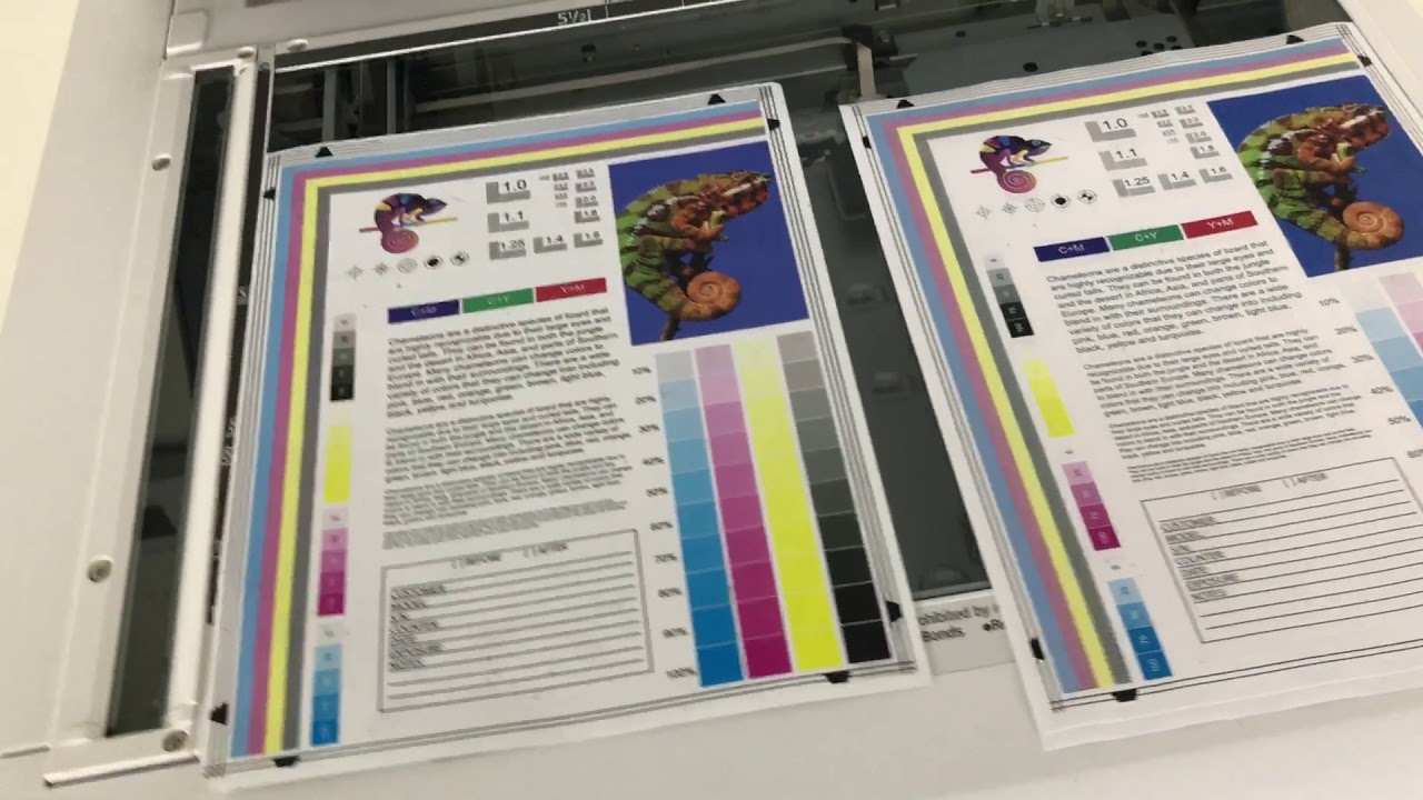 Ricoh Mp C3002 88k color 141k bw