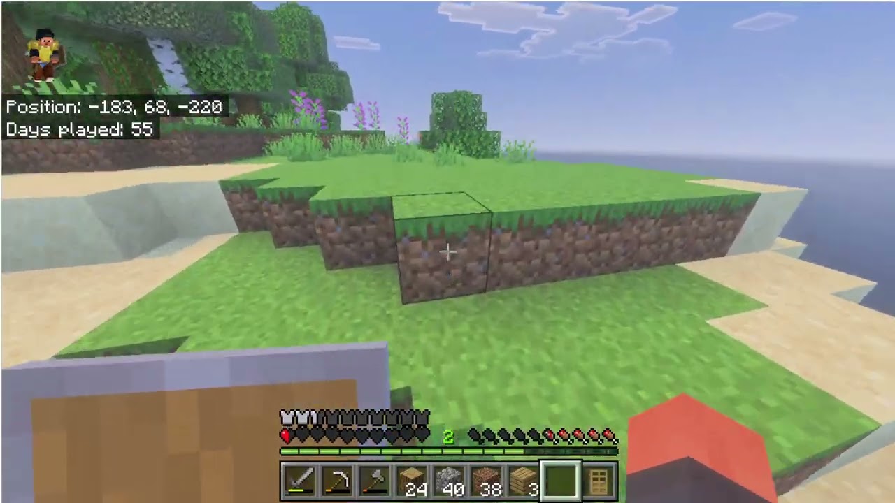 Minecraft