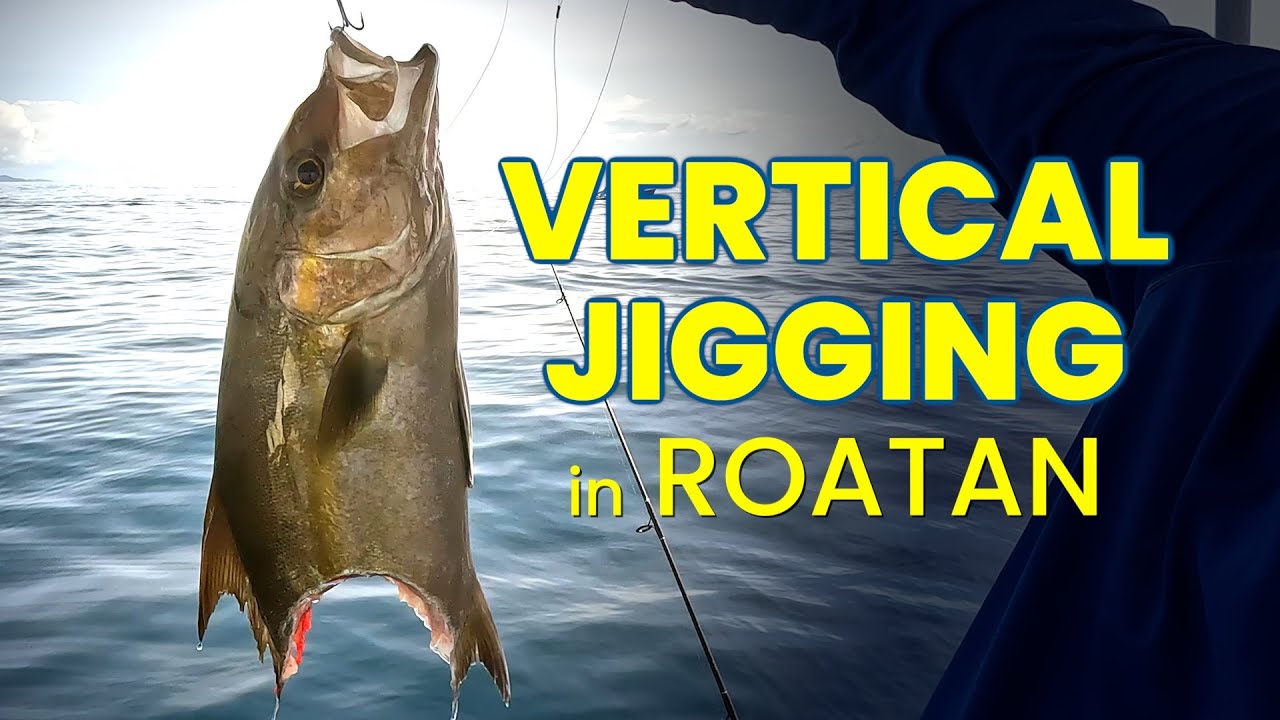 Vertical Jigging the Southern Coast of Roatan