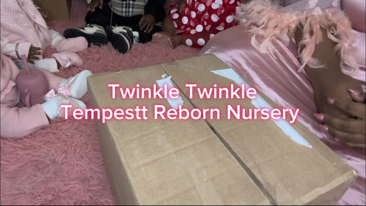 Reborn Baby Box Opening 