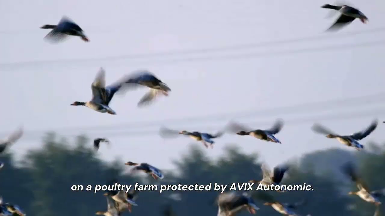 Farmers Are Using Lasers to Stop Bird Flu&mdash;And It&rsquo;s Working!